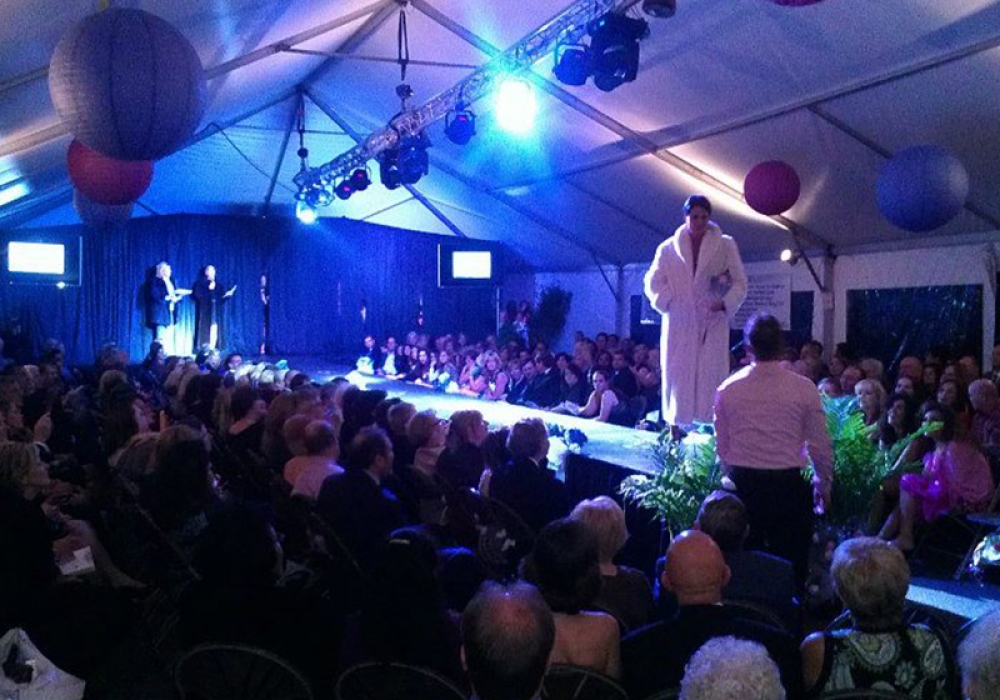 Healing Consciousness Foundation Fashion Show